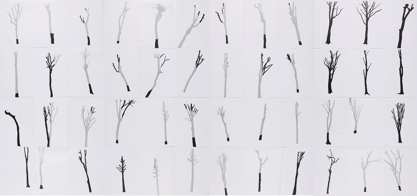 배성희, gardend 이미지제공 : 의외의조합