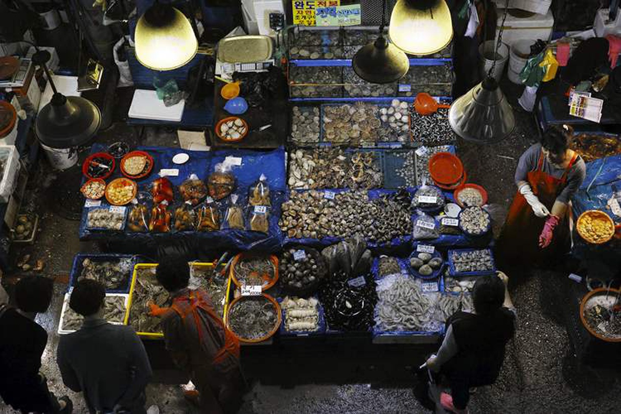 ⓒ 시마다 사토시