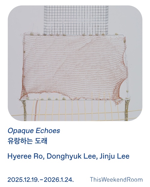 유랑하는 도래 Opaque Echoes