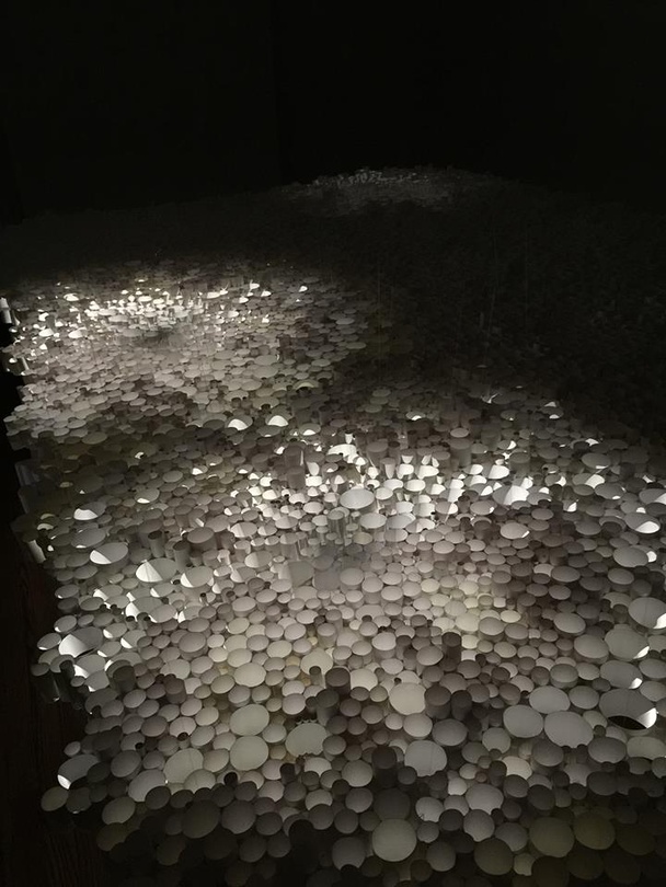 강선영 개인전 : neither here nor there