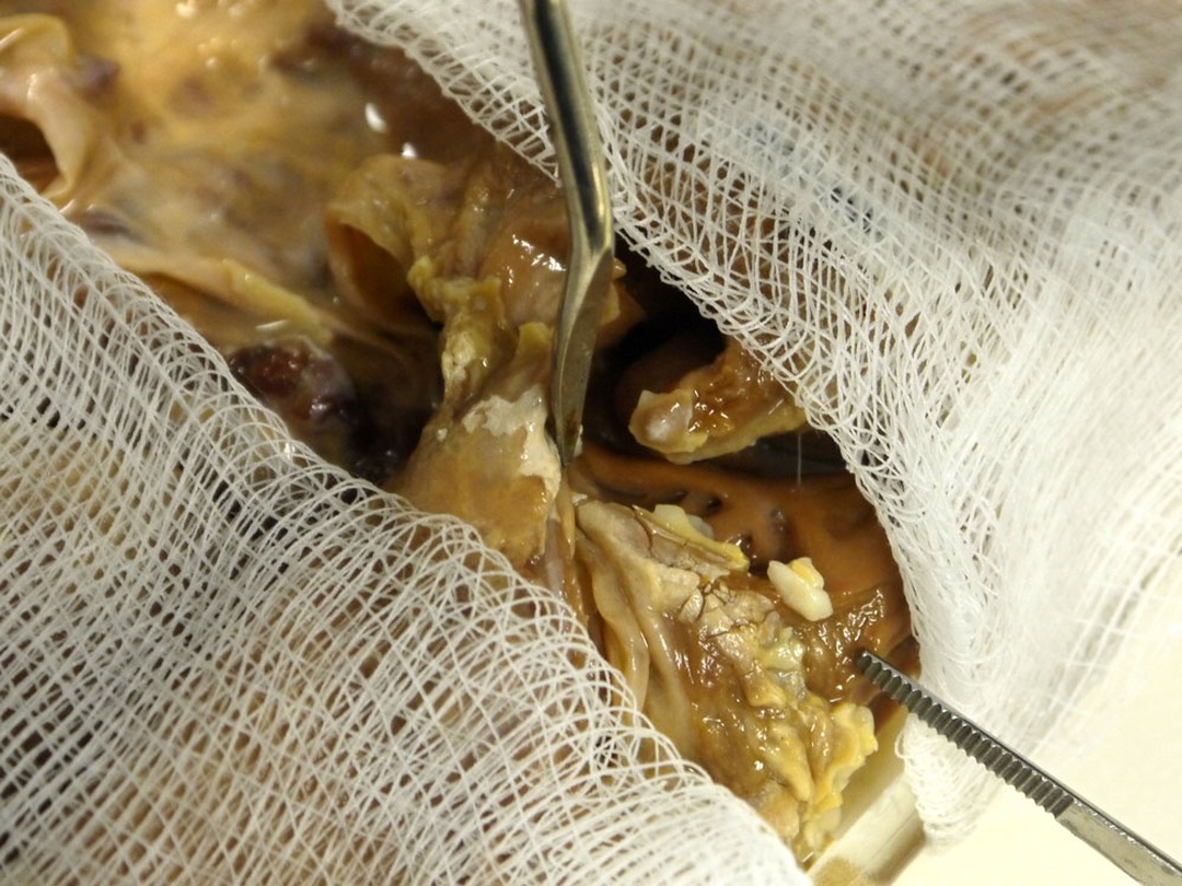 이소요_ A Dying Art_디지털프린트_8x6__2016