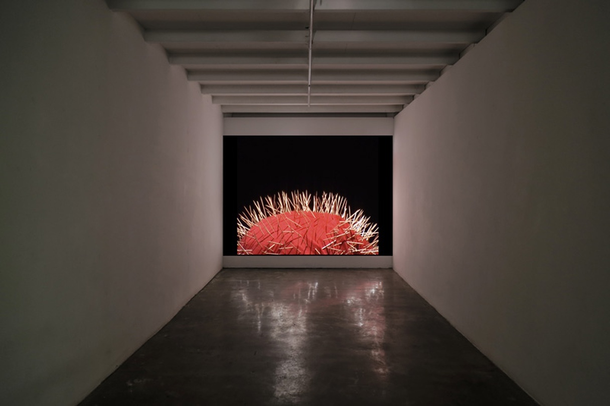 Nezaket Ekici_Defiant_Installtion view