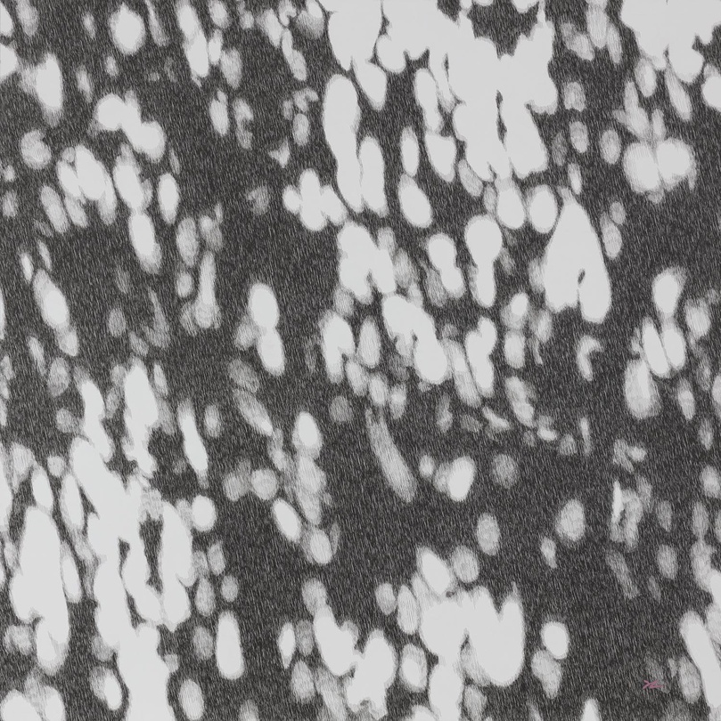 김성건_사이를 보다_80㎝ × 80㎝_종이에 펜_2018