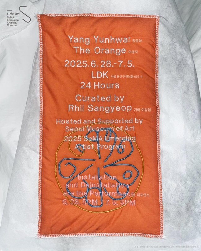양윤화 개인전: 오렌지