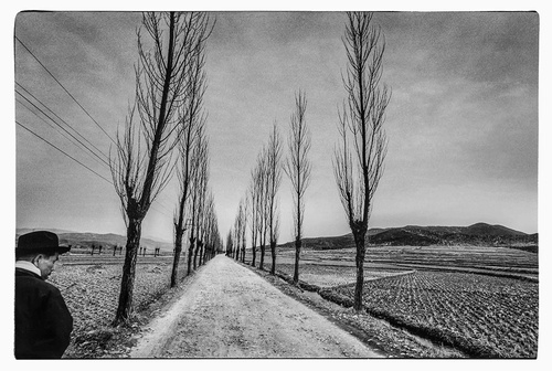 강운구 개인전: 우연 또는 필연