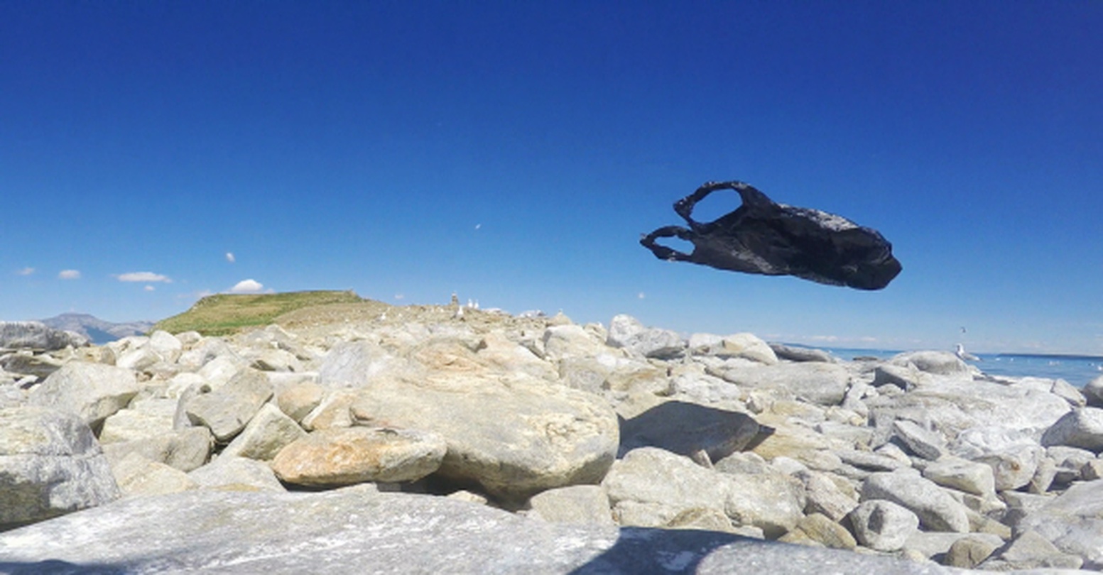 이경호, “생명의 씨앗” 어떻게 하실래요? 미래를 향한 일기… 