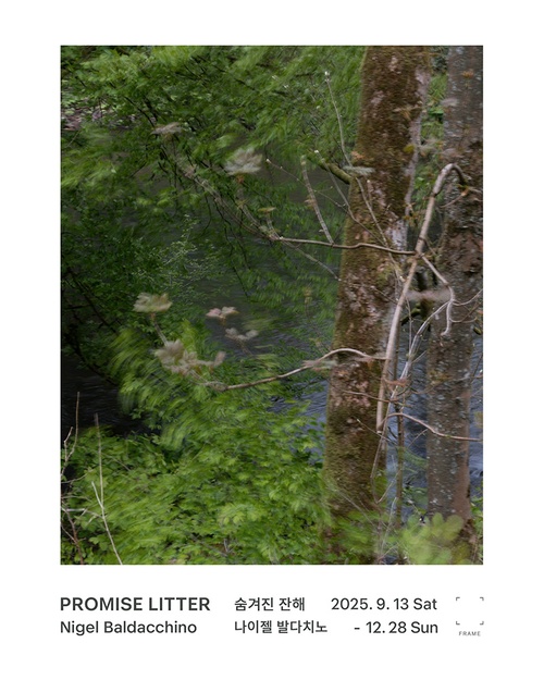 나이젤 발다치노: Promise Litter 숨겨진 잔해