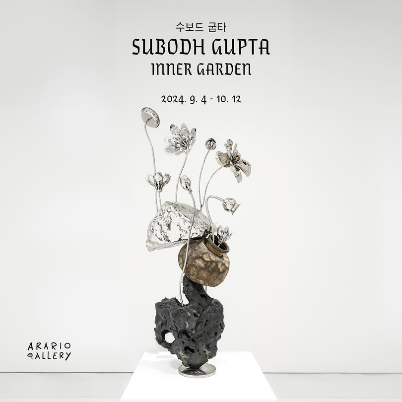 수보드 굽타 개인전: 이너 가든 Subodh GUPTA: INNER GARDEN