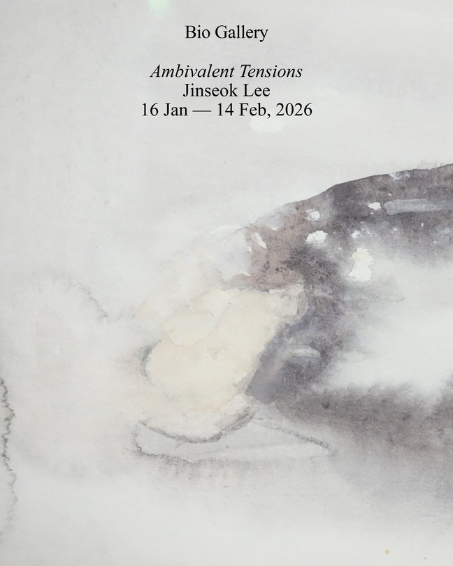 Jinseok Lee: Ambivalent Tensions