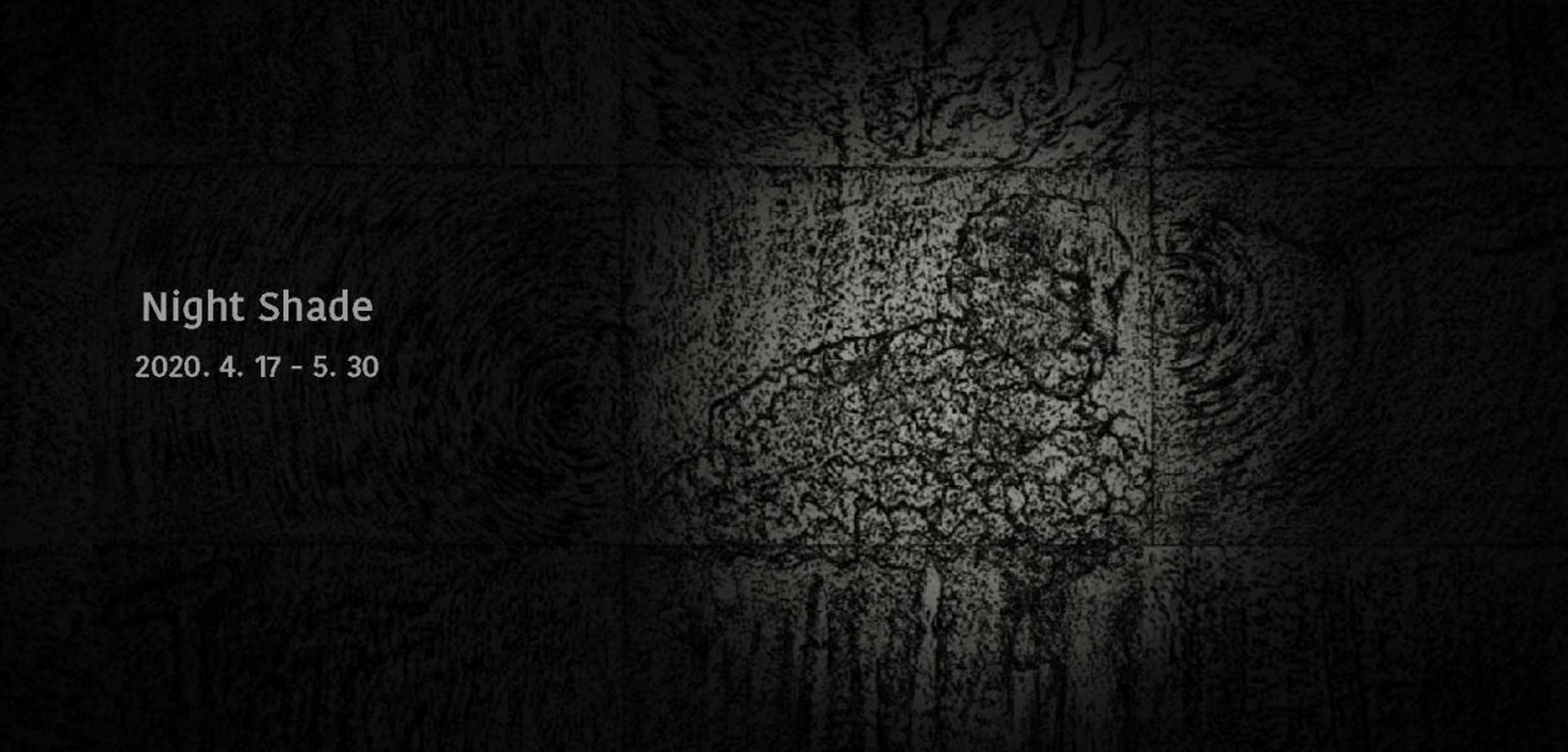 이승애 : Night Shade