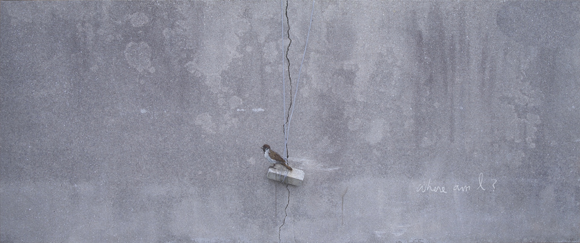 Honggoo Kang, Zero fighter, acrylic on photo, 100x150cm, 2015