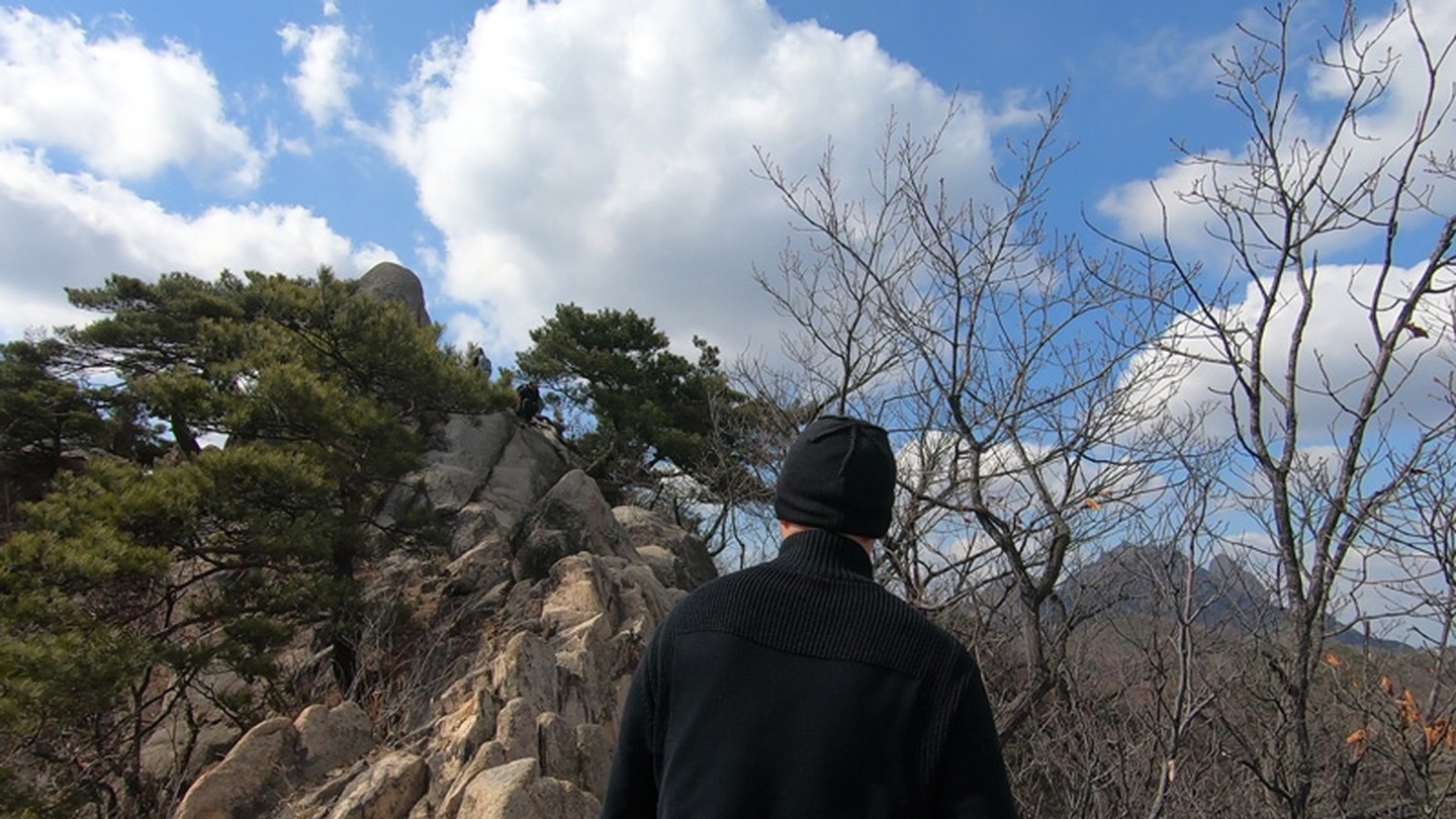 이원호, 적절할 때까지 I, 2019, 5채널 영상, 양면스크린, 아크릴, 나무, 60min