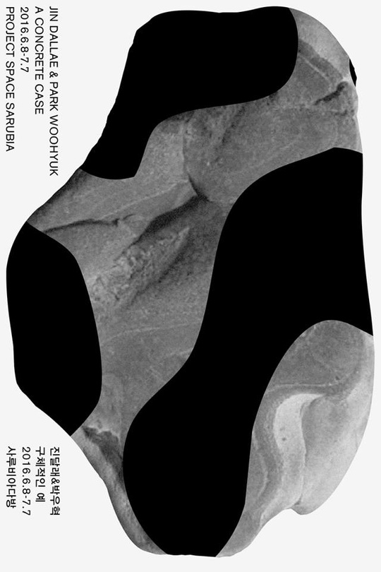 진달래&박우혁 : 구체적인 예