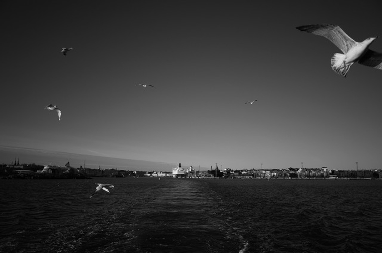 정세화 개인전 :  내면의 고요