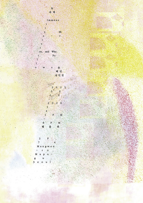 윤혜진 개인전: 눈과 벽 Immensity, Mis-vision, and What Follows