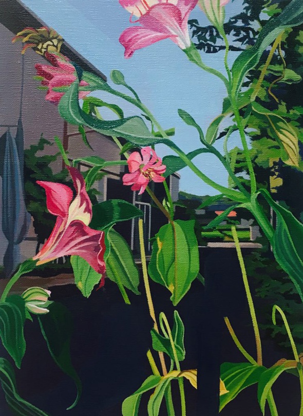 ⓒ 하세가와 사오리 Hasegawa Saori