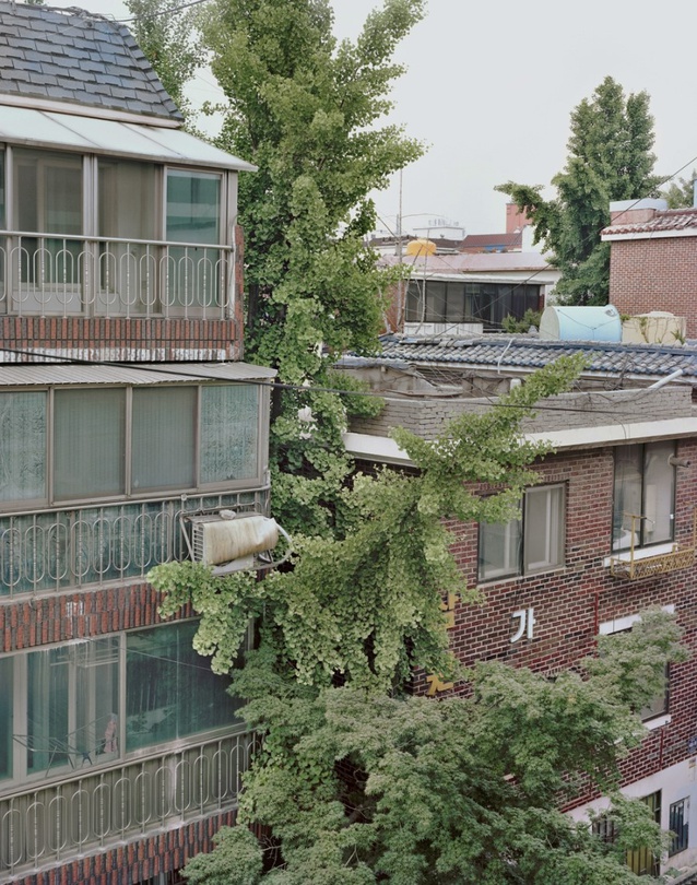 유리와 사진전 : 조경사진