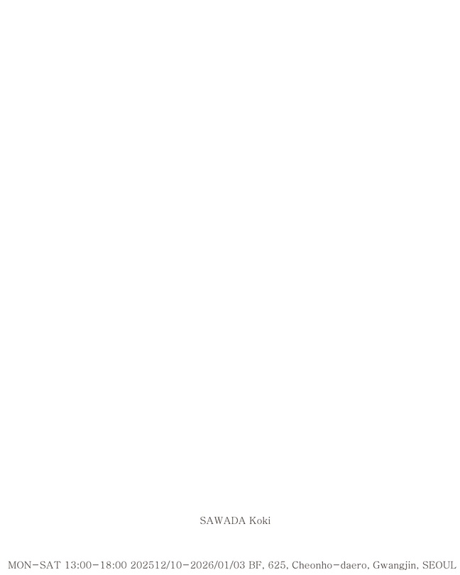 SAWADA Koki 개인전