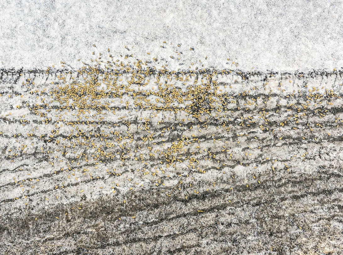 고정남 사진전 : Song of Arirang 호남선