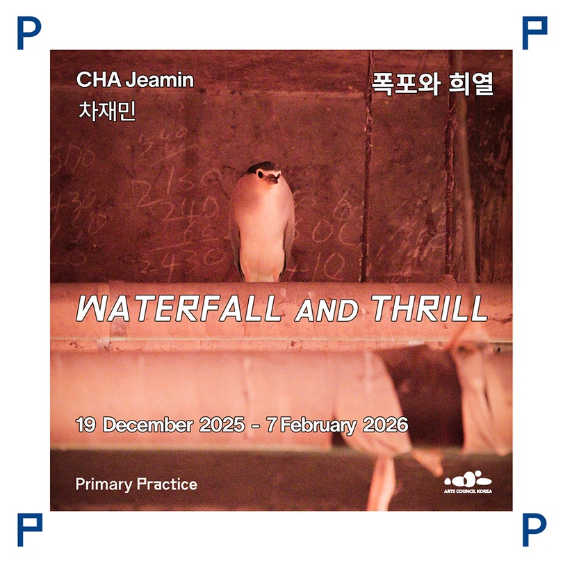 차재민 개인전: 폭포와 희열 CHA Jeamin: WATERFALL AND THRILL
