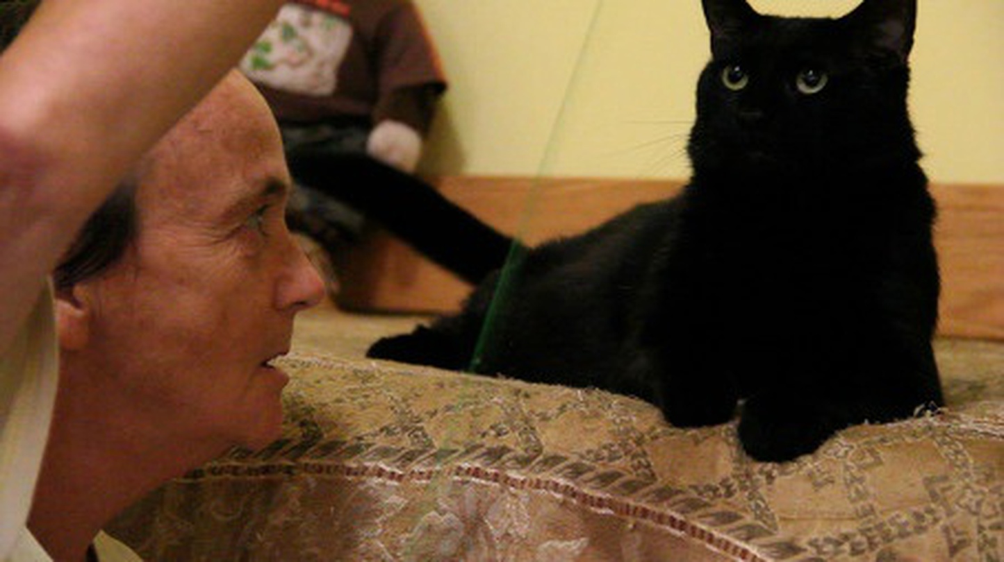 스페셜 애니 Special Annie, 김현경, 2015, 87분