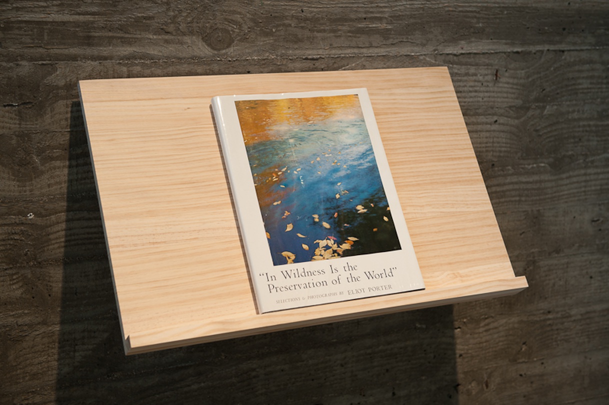 "In Wildness Is the Preservation of the World", by Eliot Porter, Published by Sierra Club