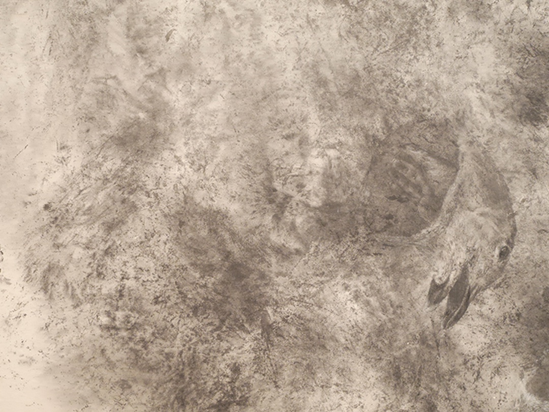 비지시적 패널들 Non-directive Panels