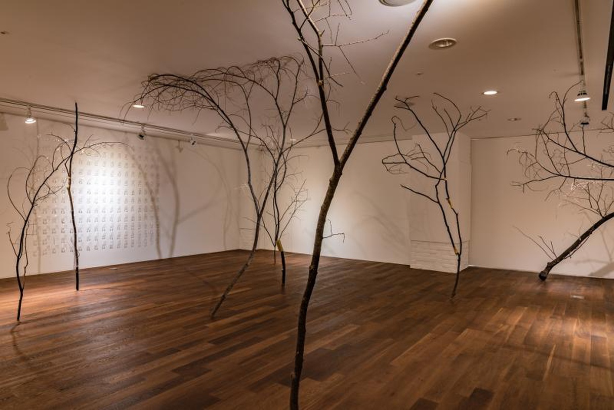 박은영, Untitle, variable installation, 나무, 실, 2018