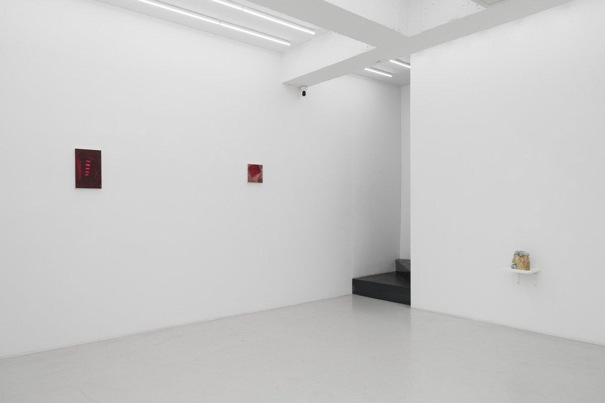 《유랑하는 도래》, 2025, 설치 전경, 디스위켄드룸 Courtesy of the artist and ThisWeekendRoom, Seoul