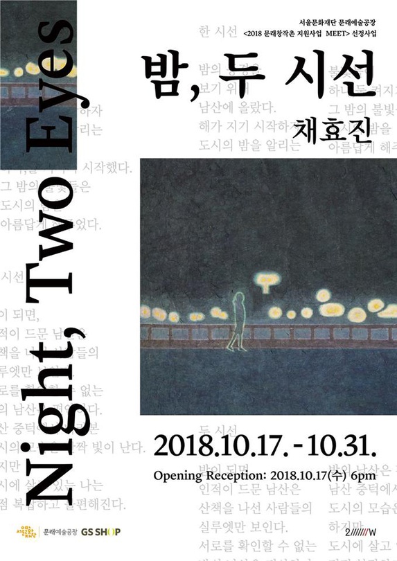 채효진 개인전 : 밤, 두 시선