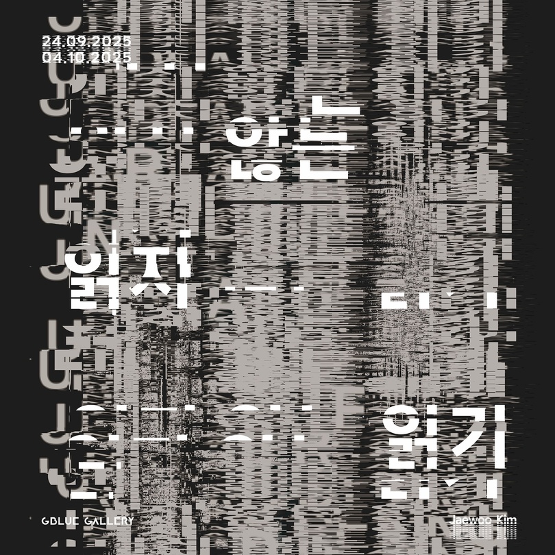 김재우: 읽지 않는 읽기