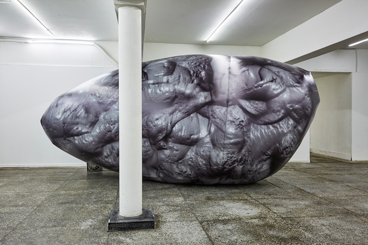 swallow1, Inflatable, 530x280x240cm, 2018