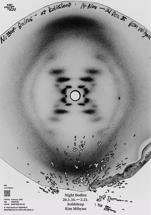 Kim Mihyun: Night Bodies