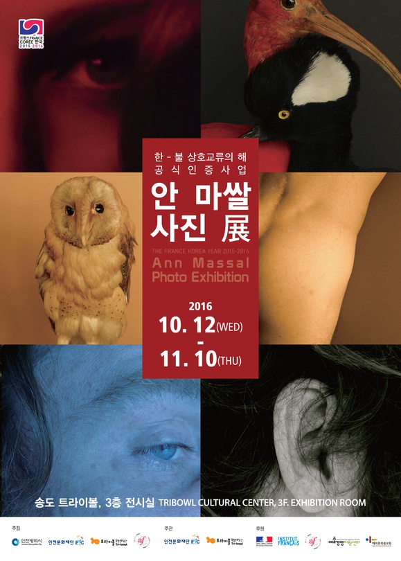 Ann Massal 사진전 : 깃털/깃털뽑기