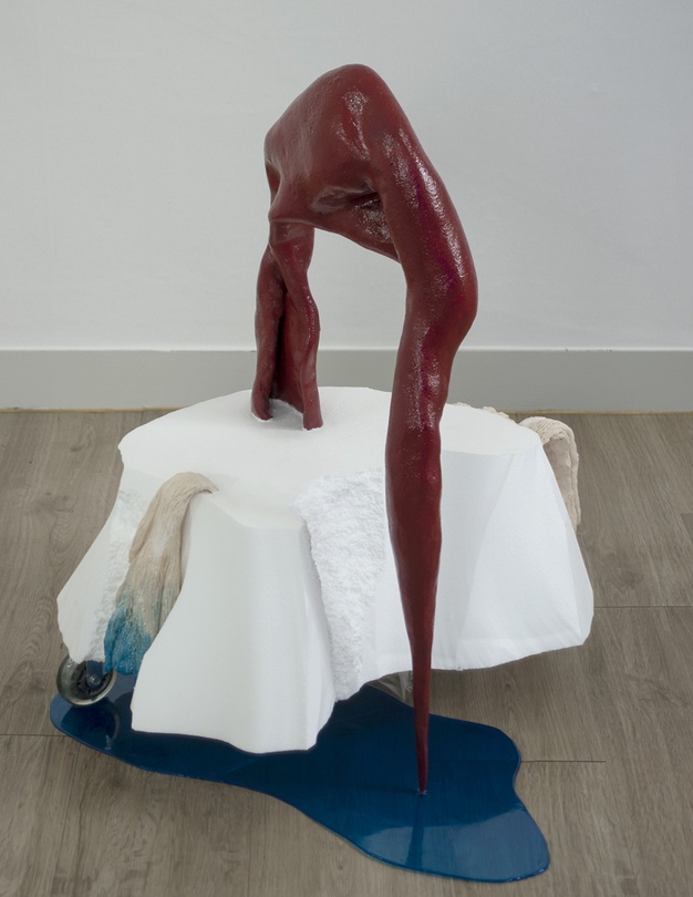 이가람 작은 불운 (걷다 보니 발이 하나 빠졌다) 2019 혼합재료 60x70x75cm