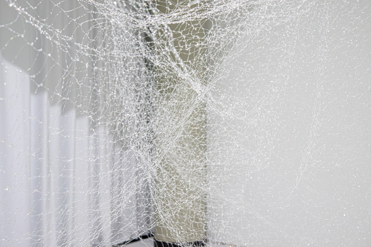 지아지아 치 Jiajia Qi  듣는 자, 먼지 속에서 Who Listens, At Dust 2023 스팟라이트, 나일론 실, 레진, 카펫 Spotlight, nylon thread, resin, carpet 600 x 350 x 320 cm