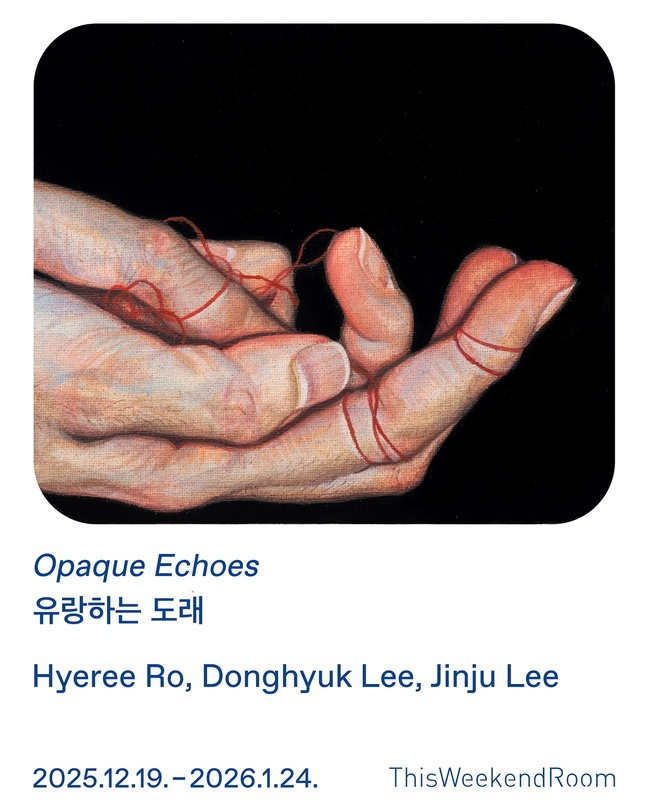 유랑하는 도래 Opaque Echoes