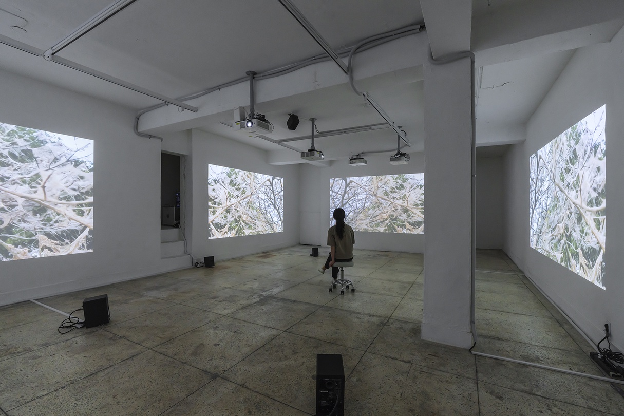 최희정, 〈오랜만에 내 그림자를 보았다〉, 2024, five-channel video(color), six-channel audio, 20 mins. 전시이미지 촬영: CJY ART STUDIO.   사운드: 정의석 / 영상기술: 구종회  / 설치: 멀티텍