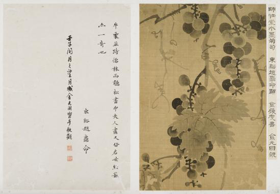 신씨, 포도(葡萄)_unknown Ink on Silk_31.5×21.7cm