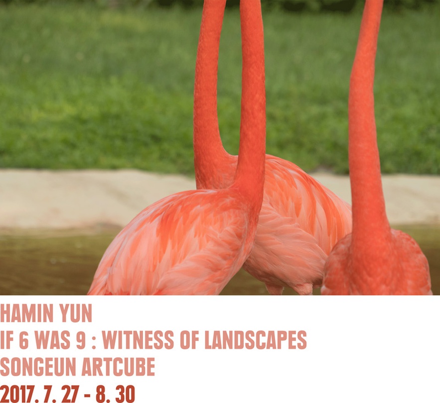 윤하민 개인전 - If 6 was 9 : 풍경의 목격
