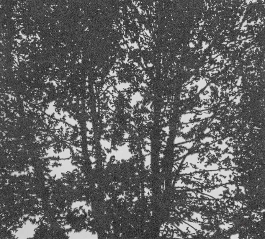 김성건_사이를 보다_135㎝ × 122㎝_종이에 펜_2018