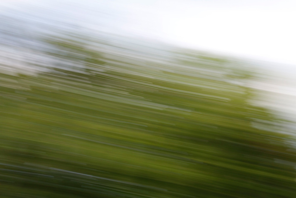 Satoko Nema, Paradigm, 2015_04